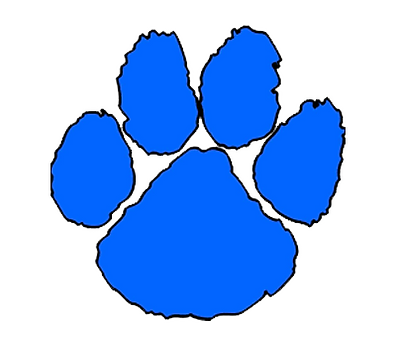 Princeton High School Football